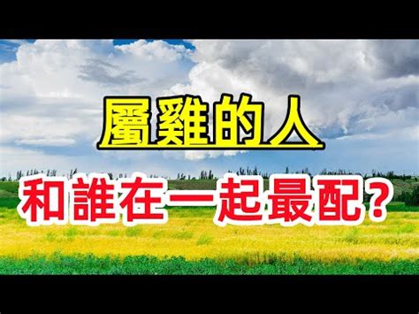 虎和雞合嗎|虎雞配對:風水佈局